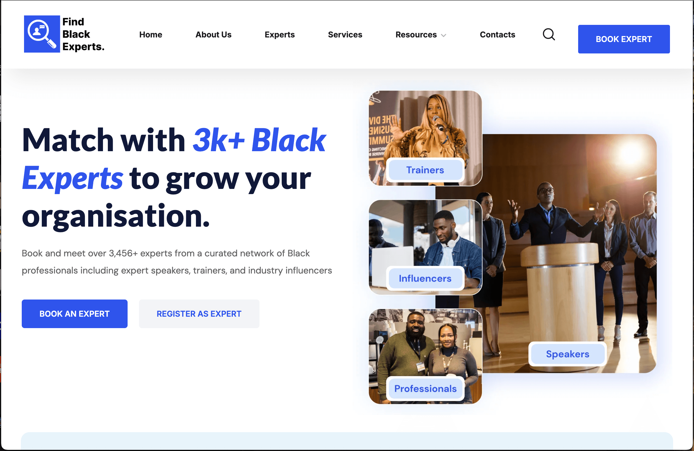 FindBlackExperts: Global Expert Network homepage screenshot